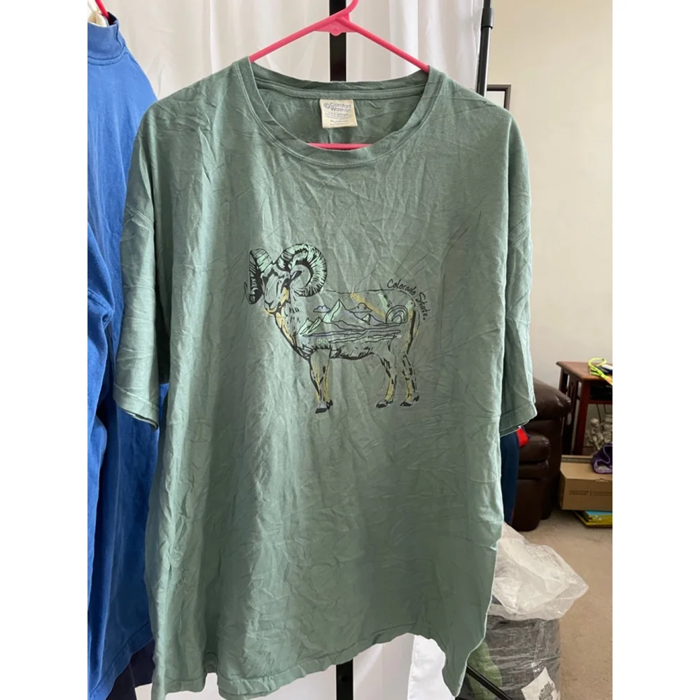 Men's Comfort Wash Green Graphic Tee Size XL